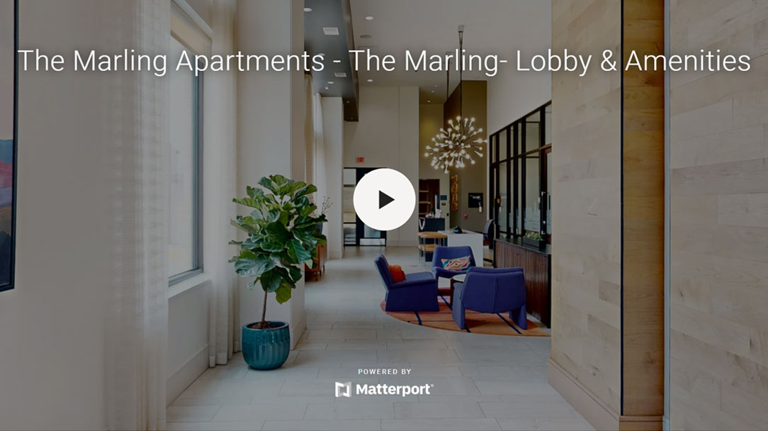 Lobby & Amenities