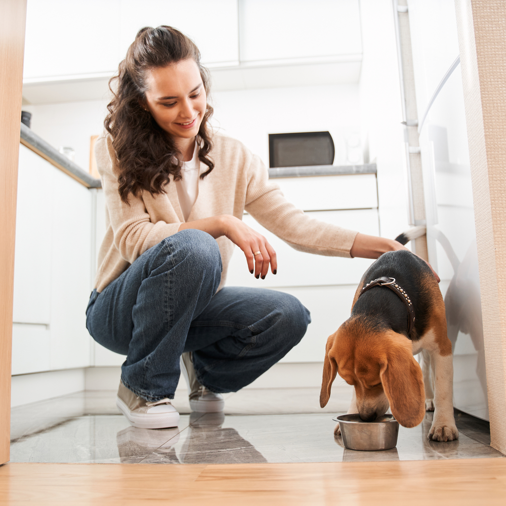 Why Housing with Pets Became More Popular